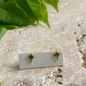 Puce d'oreille, étoile du nord, acier inoxydable, vendue à l'unité