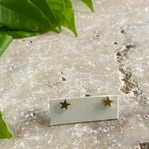 Puce d'oreille, étoile, acier inoxydable, vendue à l'unité